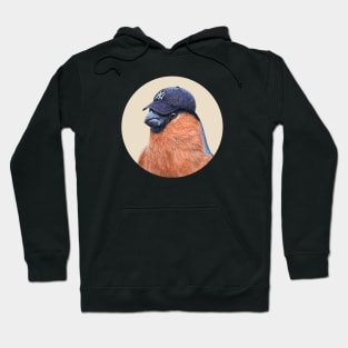 Eurasian bullfinch Hoodie